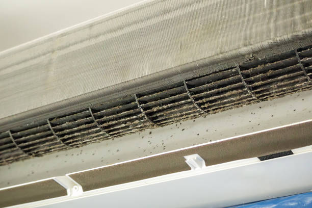 Best Affordable Air Duct Cleaning  in Derry, PA